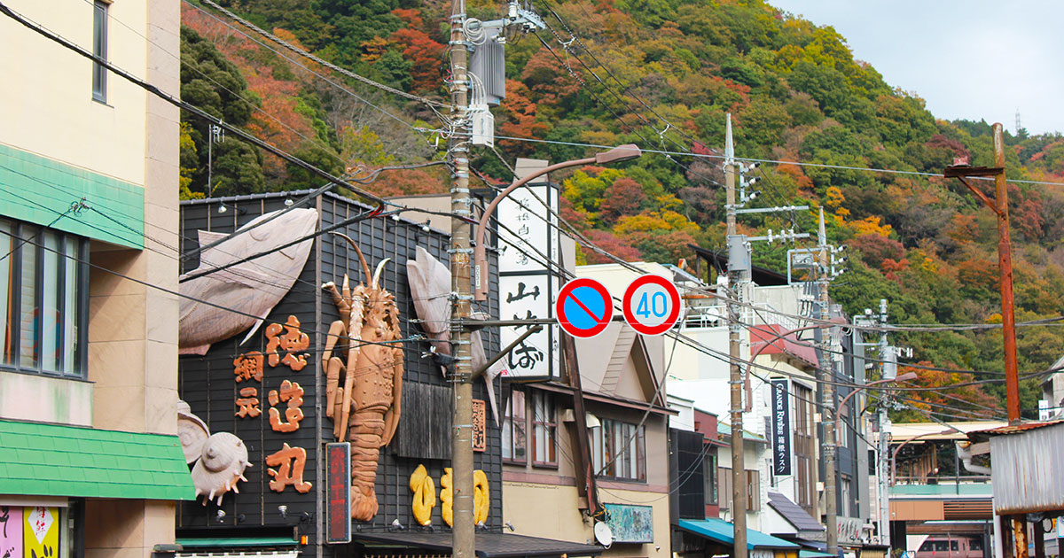 首都圏までの近さは魅力的な箱根・強羅！寮も綺麗で環境GOODでした！