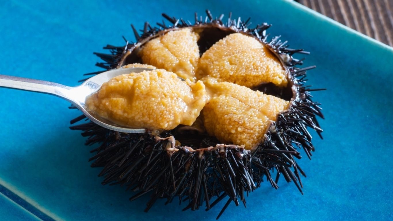 越前雲丹の写真です