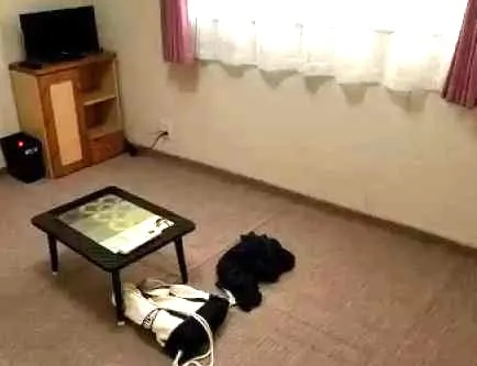 個室寮イメージ