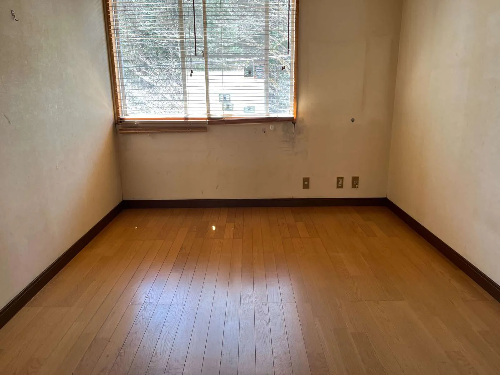 部屋内例
