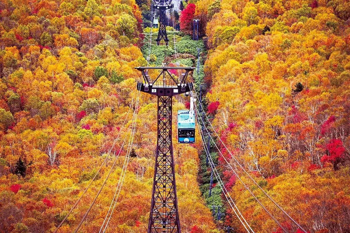 紅葉シーズンは絶景です