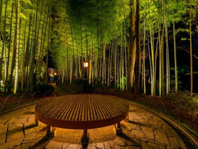 川沿いの散策道「竹林の小径」　夜はライトアップされて幻想的です！