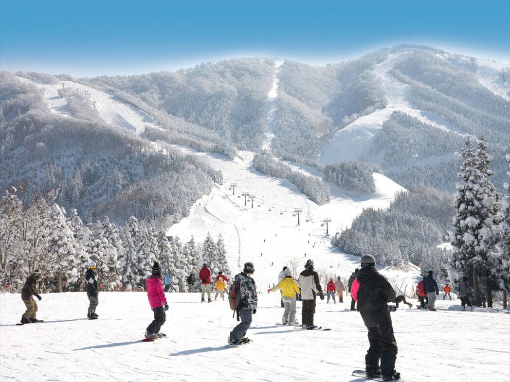 西日本エリアの大型スキー場での勤務となります。12月以降はスキー場になりますので滑り放題です！