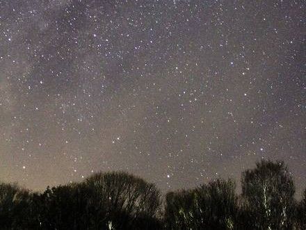 夜は満天の星が見られます ※実際に撮影した写真です