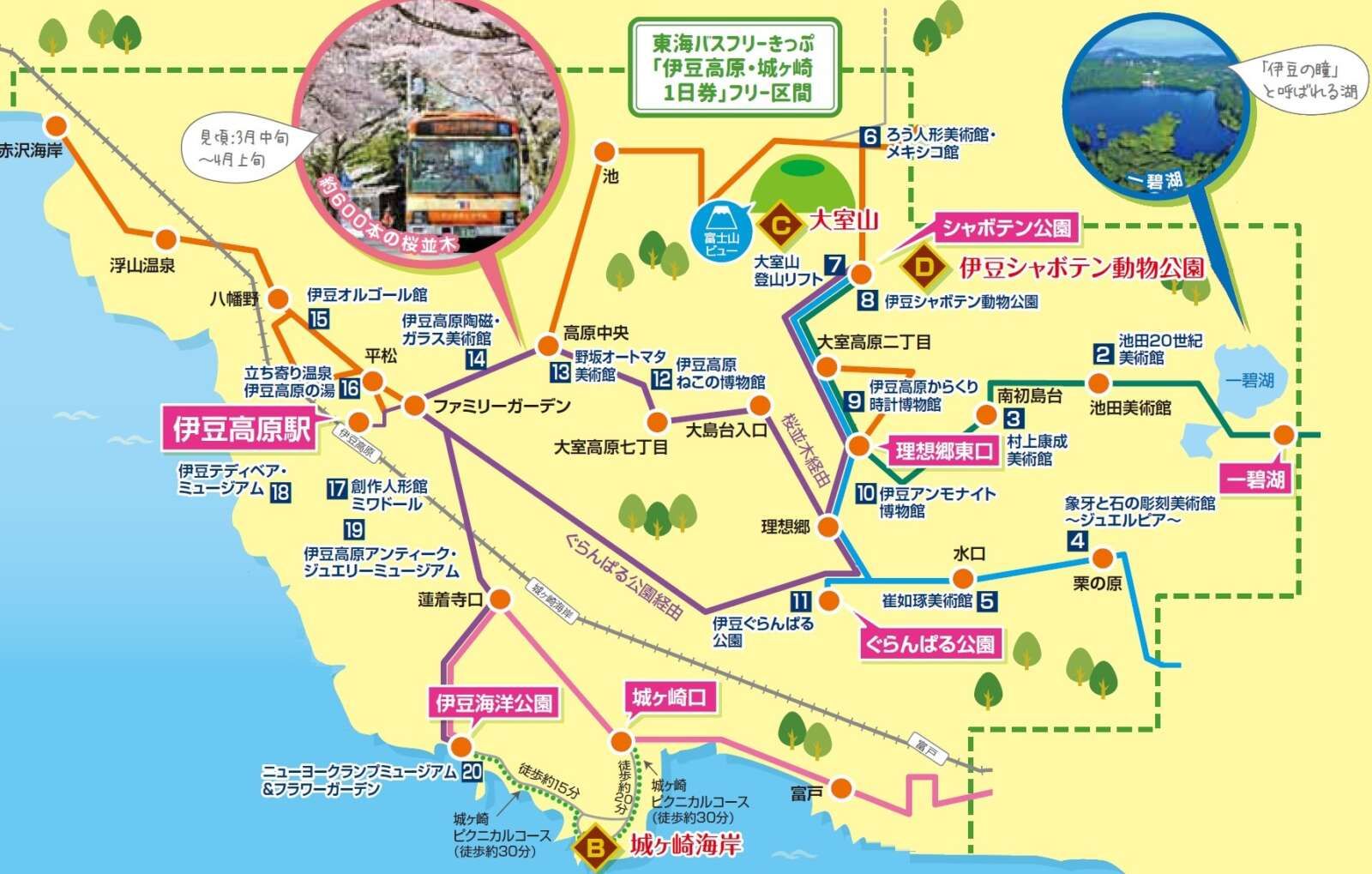 周辺は観光スポットがいっぱい!!