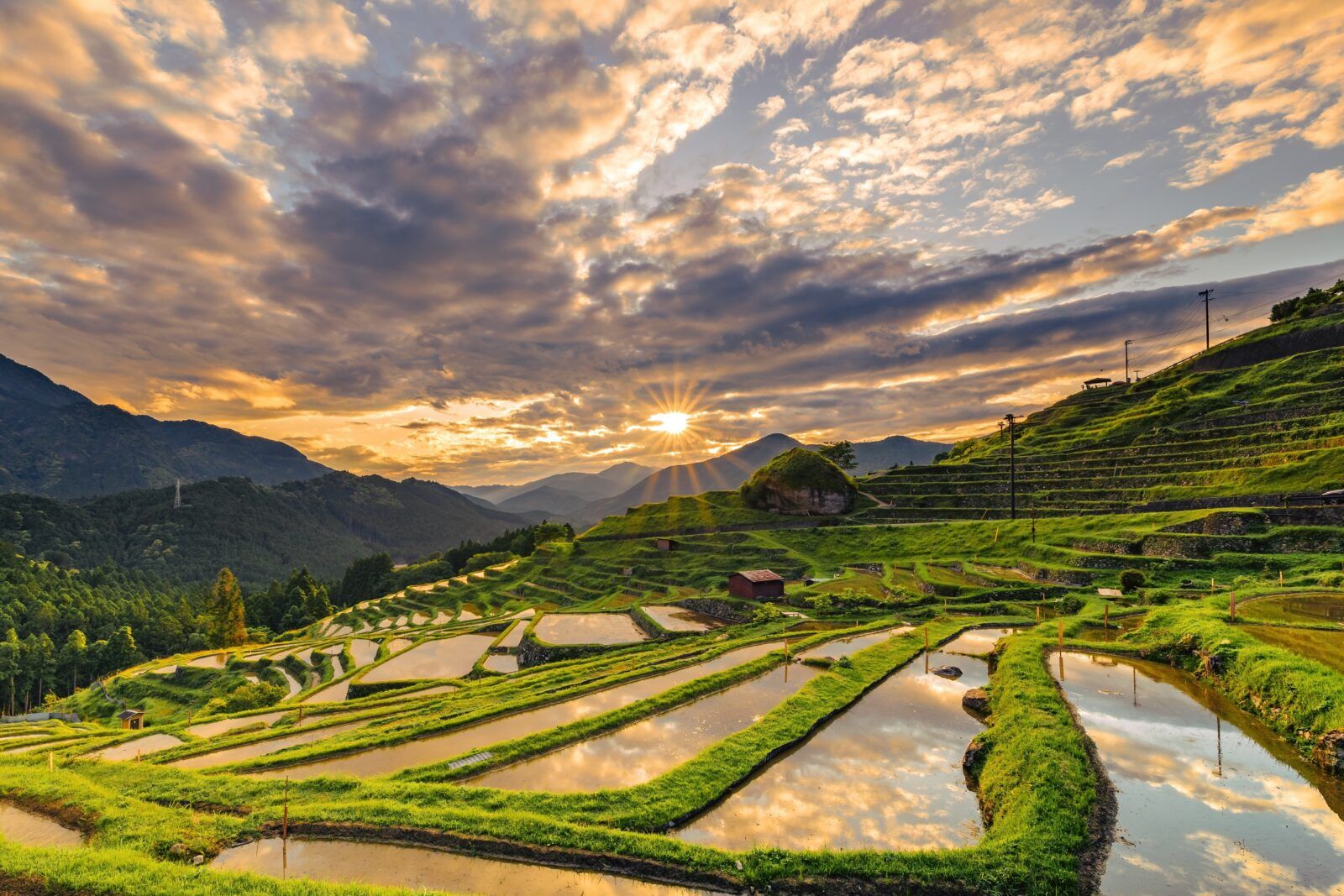 三重県熊野市にある丸山千枚田（まるやませんまいだ）の夕暮れ時の様子です。﻿スタッフさんにいただきました。