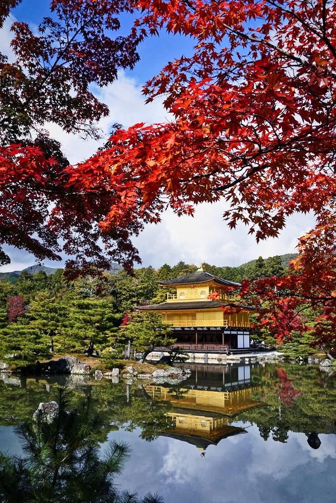 金閣寺