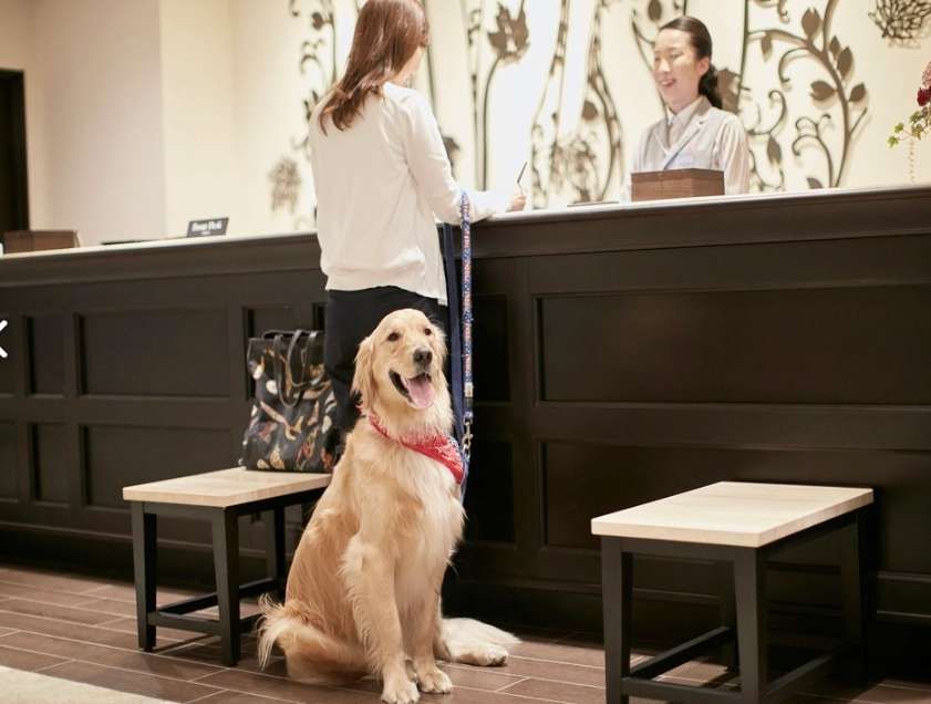 フロントの様子！愛犬連れのお客様がたくさんいらっしゃいます！
