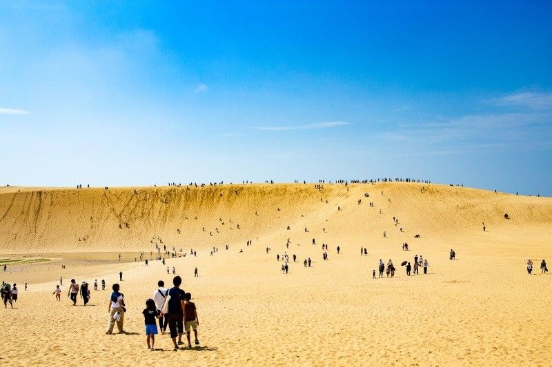 鳥取県でのお仕事になります。
