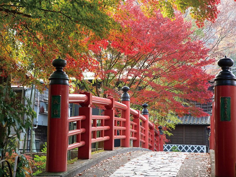 お休みの日は最寄駅〔修善寺〕へ。