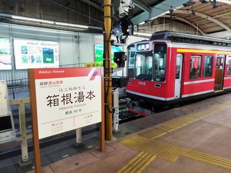観光客がたくさんいるエリアなので活気があります！！