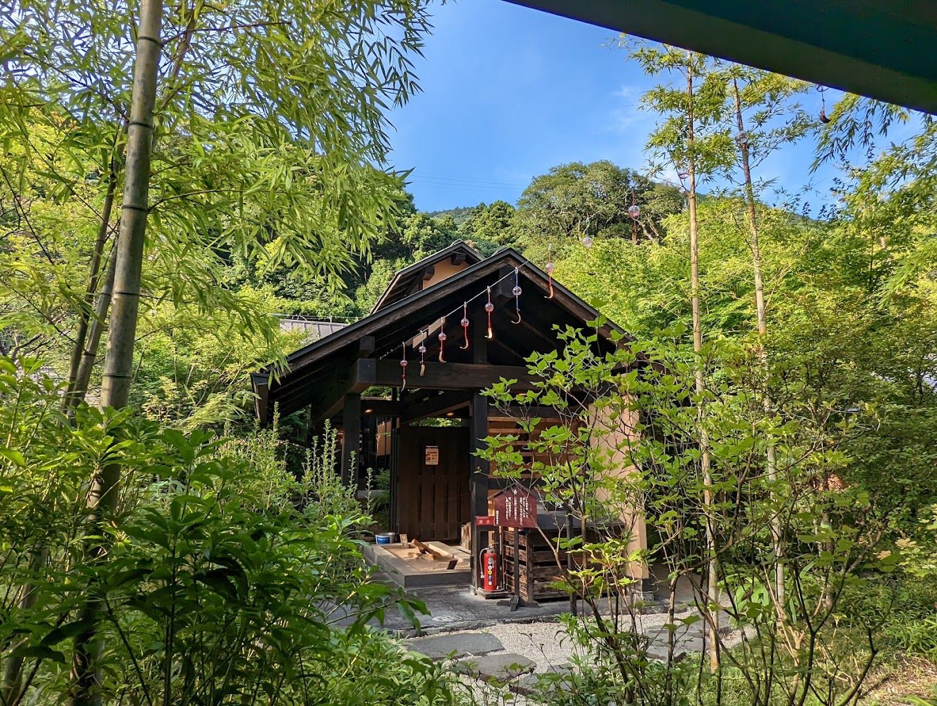 お庭の様子です