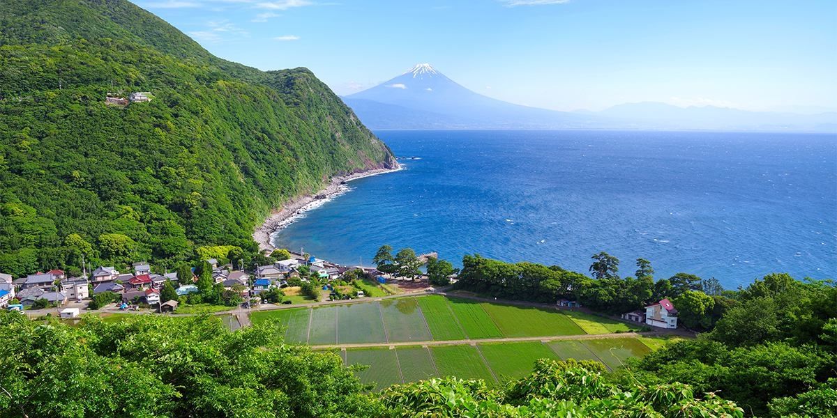 富士山も見えます！