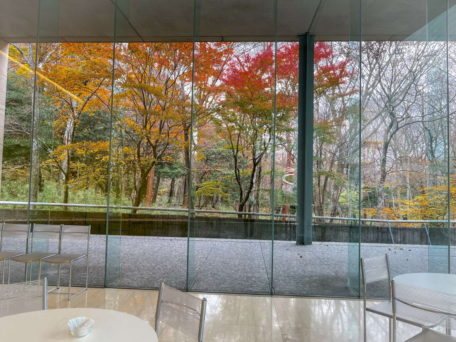 カフェから見える秋の風景！