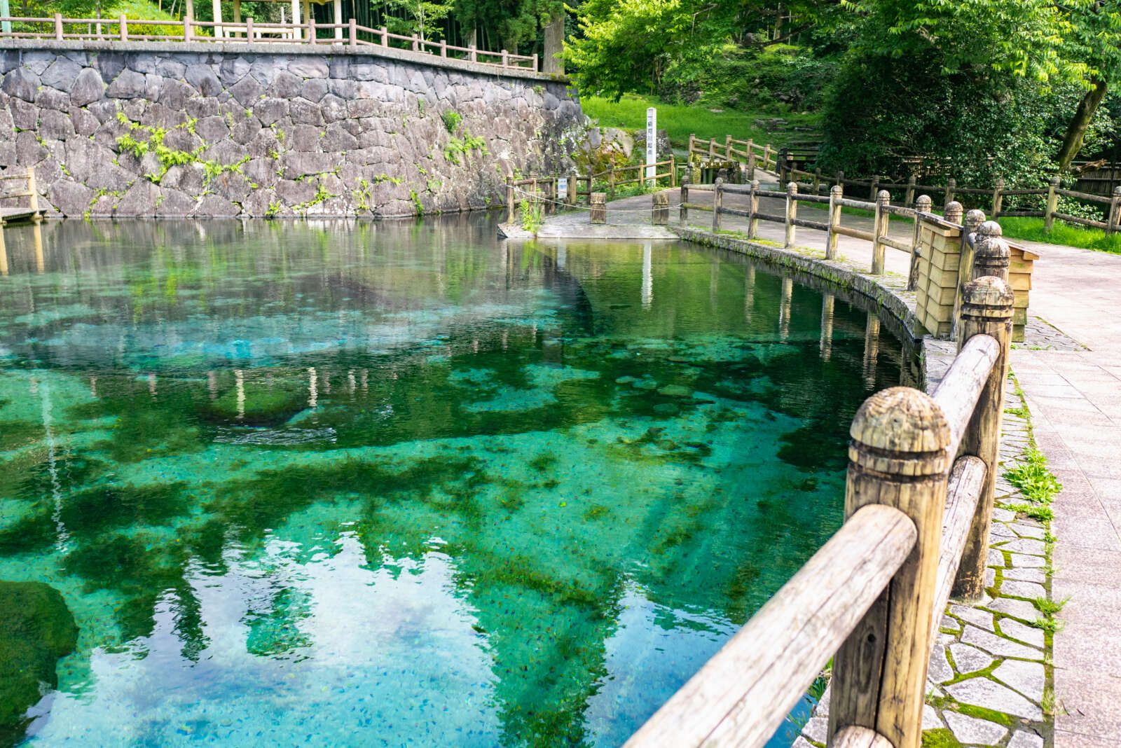 鹿児島県姶良郡湧水町にある「丸池湧水」は、昭和60年に環境省の「日本名水百選」に選定された湧水池！