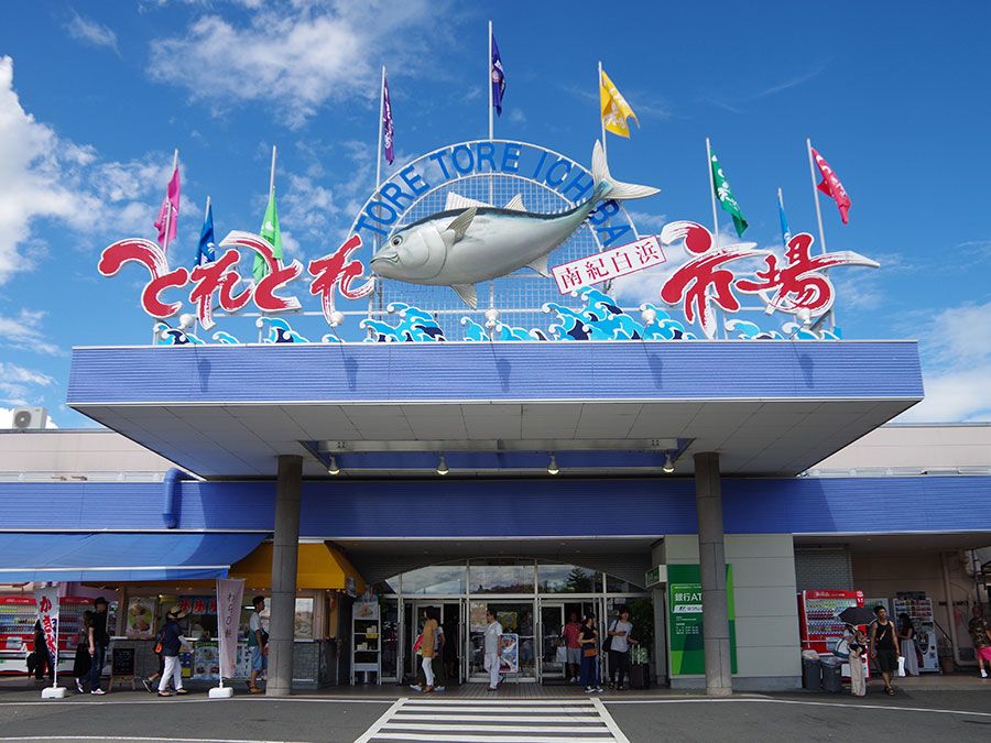 海の幸がおいしいエリアです！