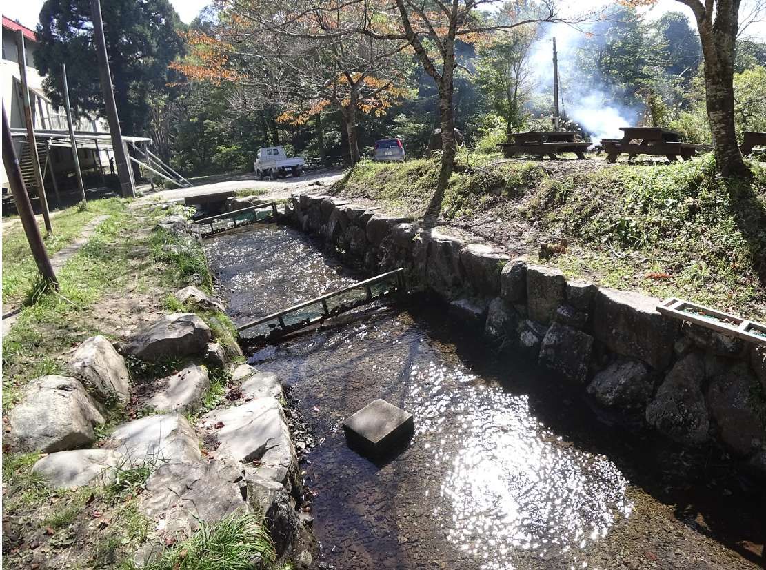 魚つかみ場も完備！