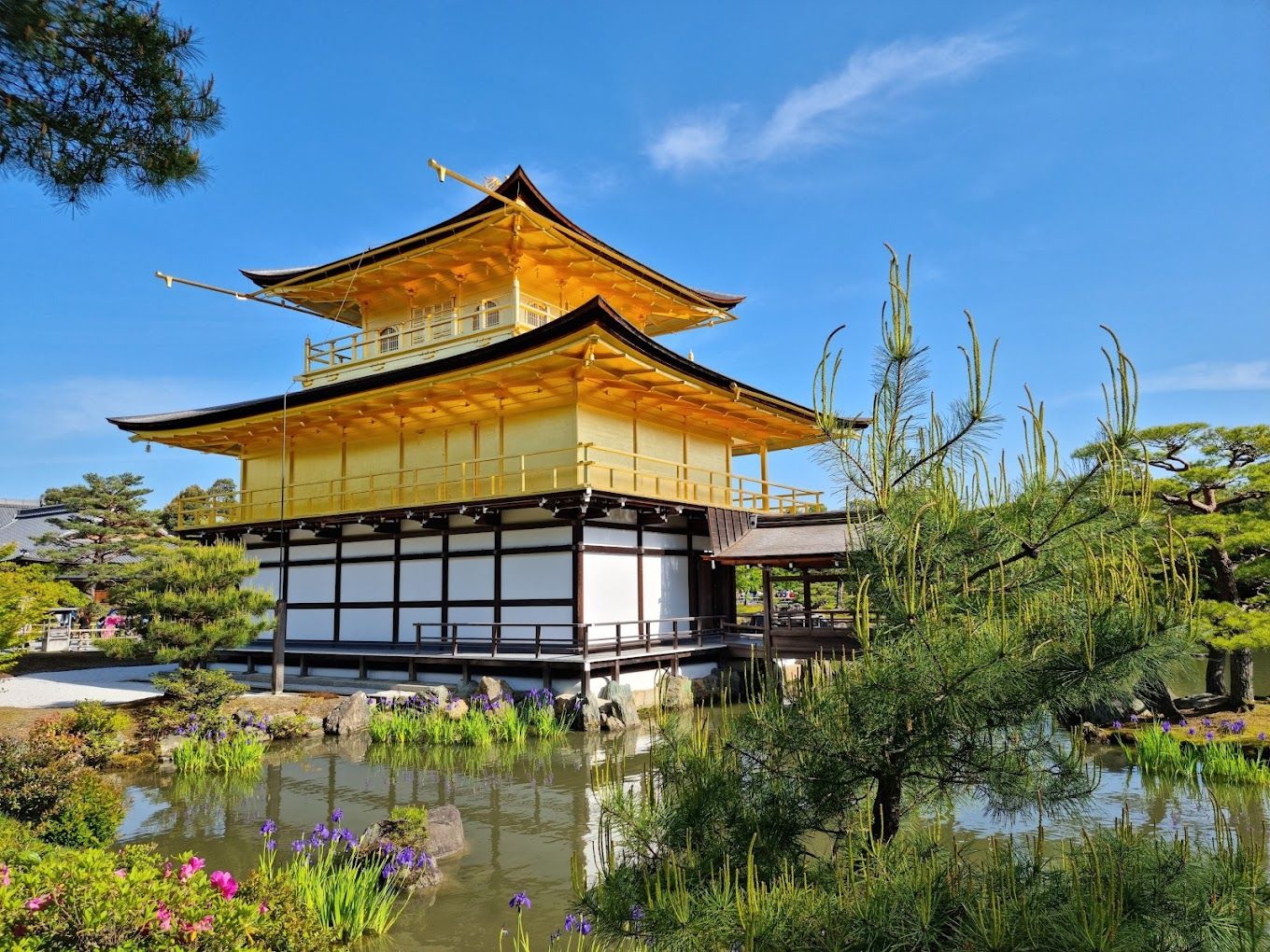 人気の観光地『京都』での案件です