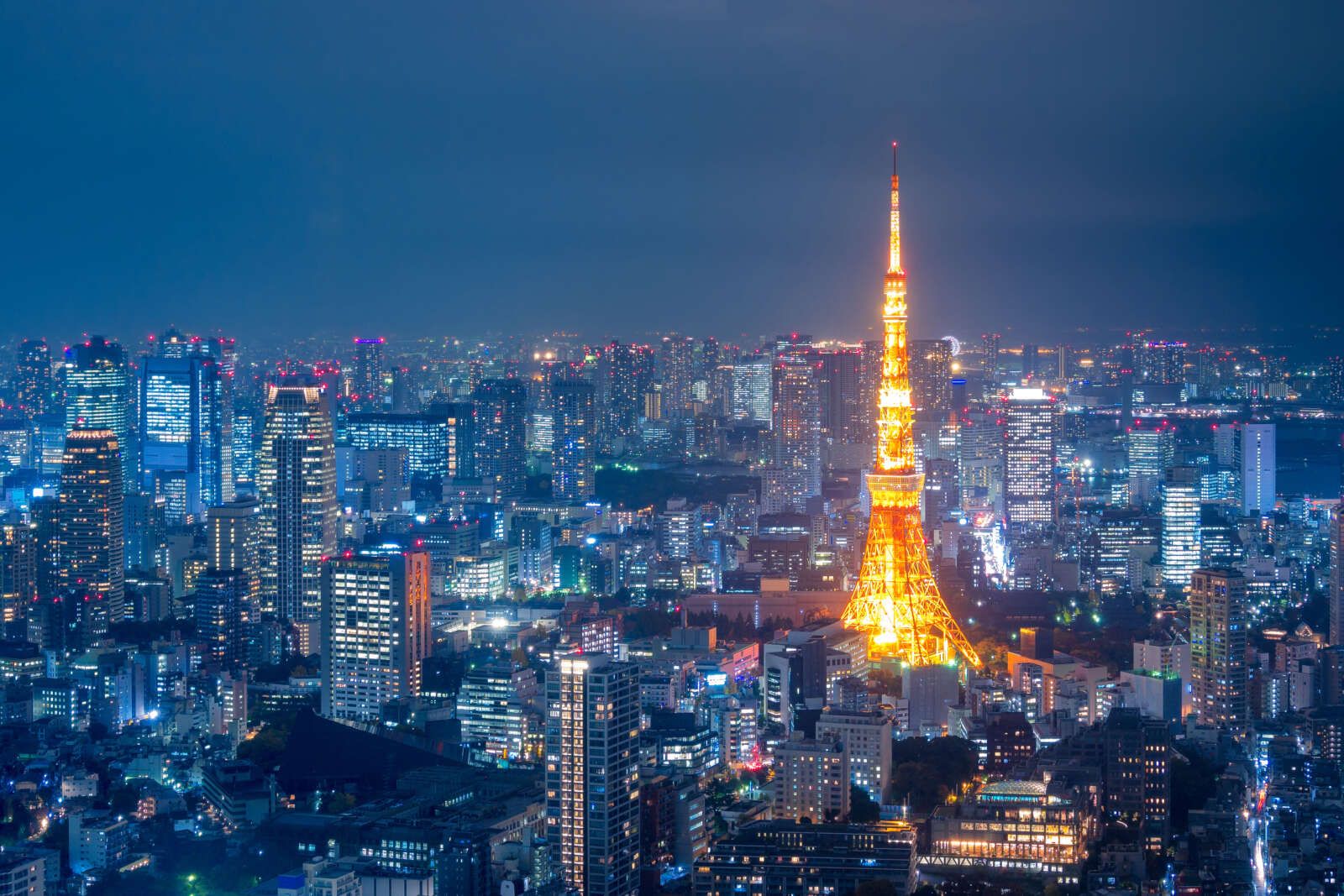 東京でのお仕事！
