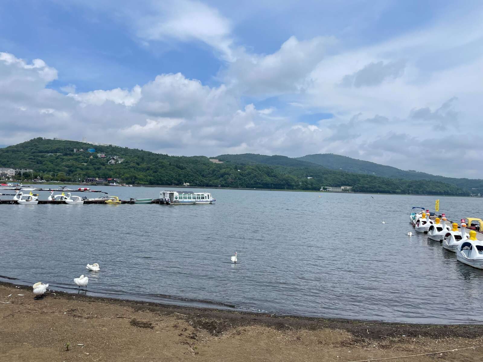 のどかな山中湖で癒されてください！