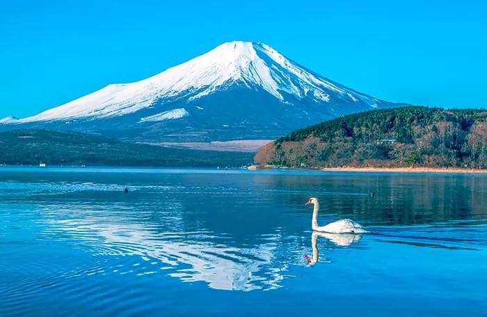 山中湖、逆さ富士！
