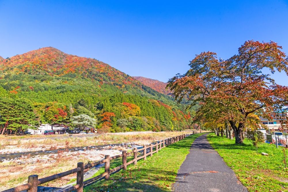 那須は紅葉が綺麗なエリアです！