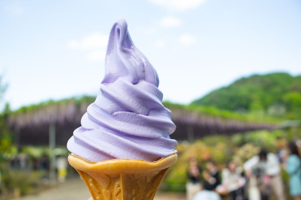 ご当地ソフトの種類も豊富です！