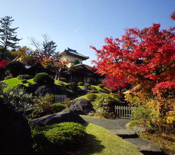 秋には紅葉が綺麗