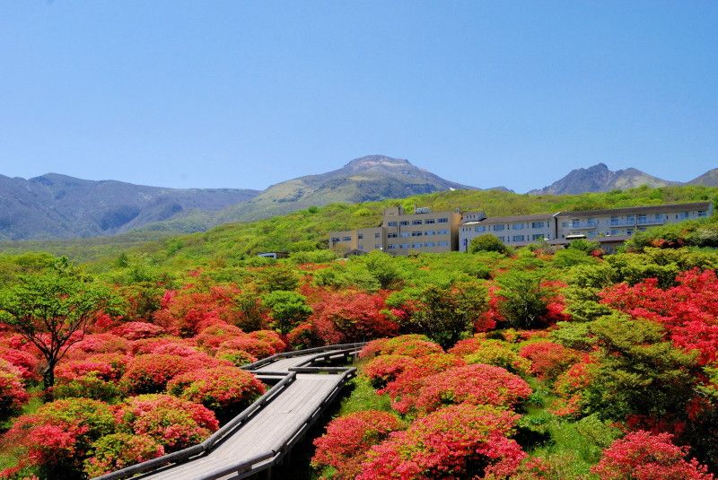 【栃木観光】奇麗な景色
