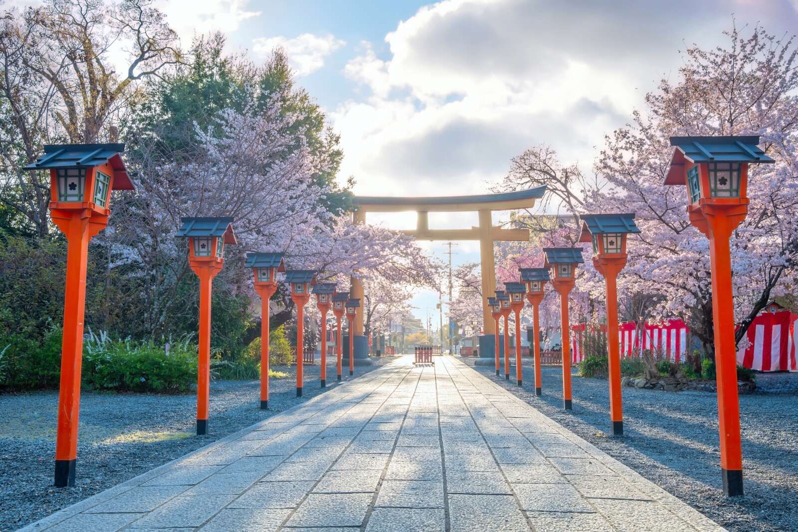 自然が美しい京都市内！観光地も多数ございます。
