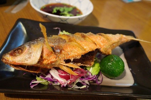 提供のお食事