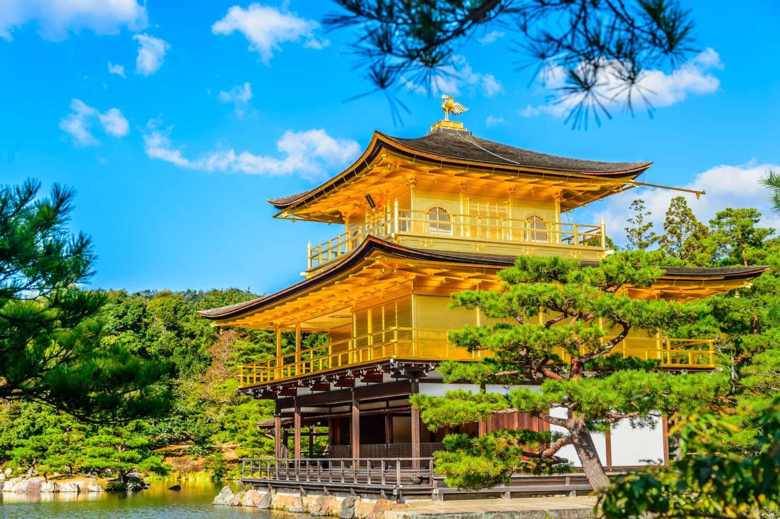 『京都』の案件