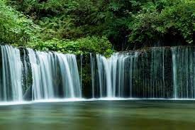 夏も涼しい軽井沢でのお仕事！
