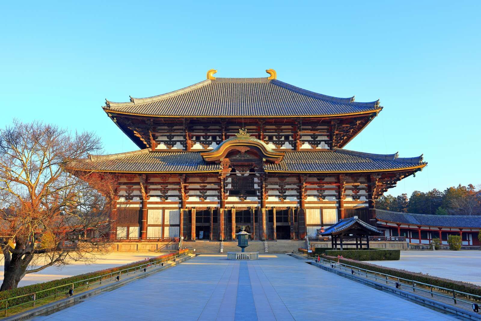 お寺・神社巡りも楽しめる好立地です