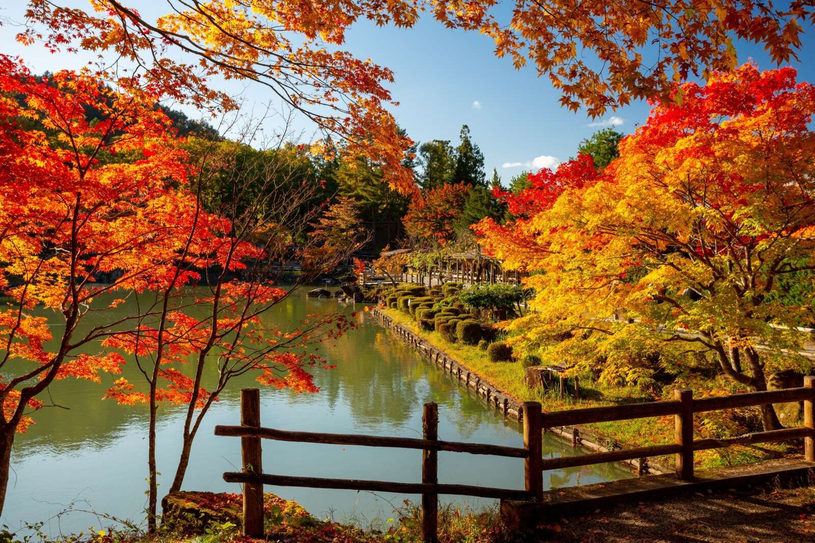 高山の紅葉は最高です！