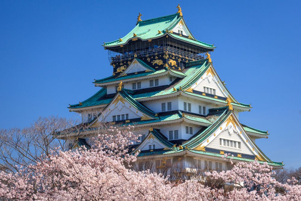 大阪中心地のお仕事です
