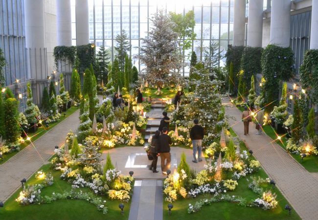 淡路夢舞台温室 奇跡の星植物館