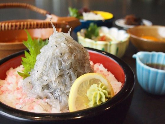 生シラス丼も〇