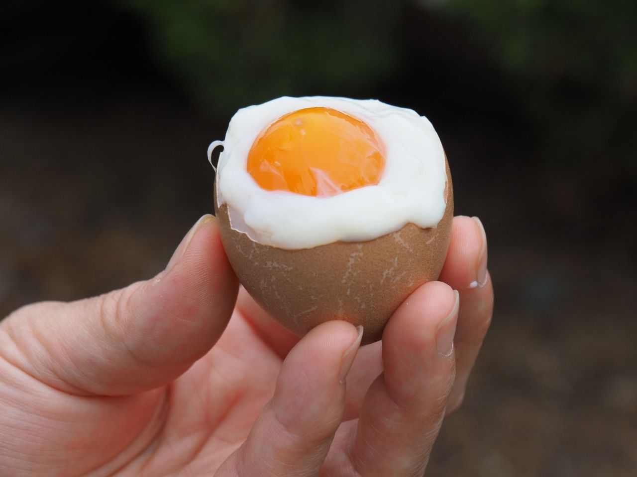 ----- 平湯温泉の名物温泉たまご「はんたい玉子」黄身が固く白身がトロトロのほんのり塩味がきいた絶品卵