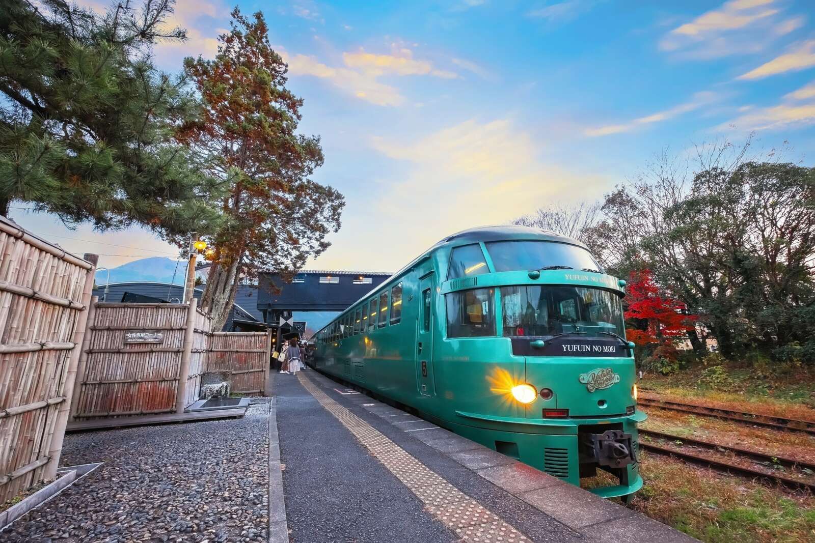 観光列車「ゆふいんの森号」