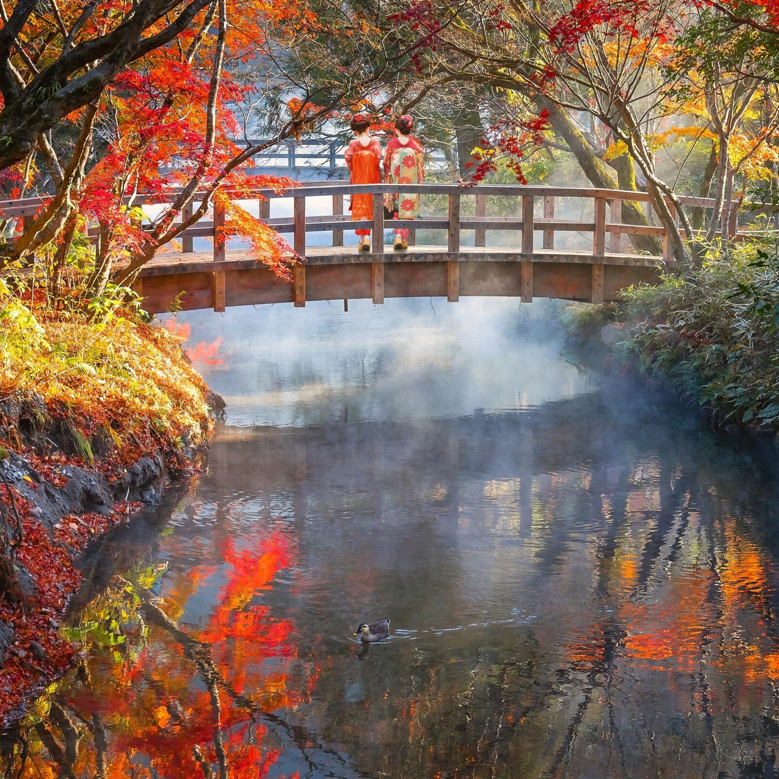 鱗湖（きんりんこ）の幻想的な朝の風景を捉えたものです。湖面に鳥居が立つこの場所は、由布院を代表する観光スポットの一つです。﻿