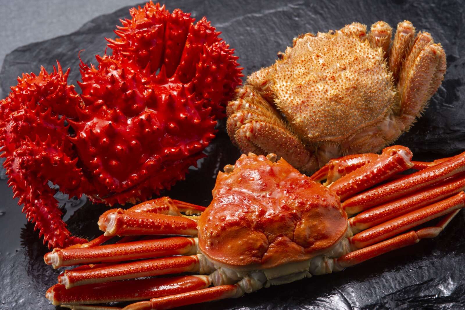 【北海道グルメ】カニは食べてください！