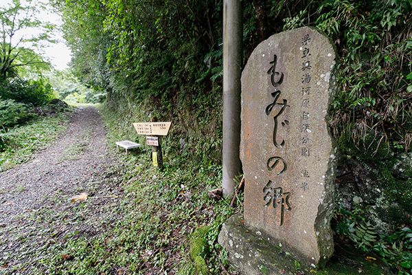 トレッキングもできますよ＊
