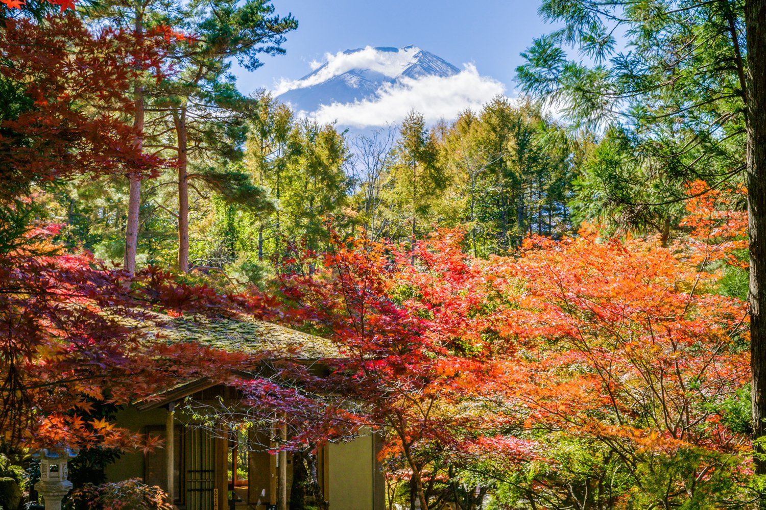 もう富士山が目の前です！