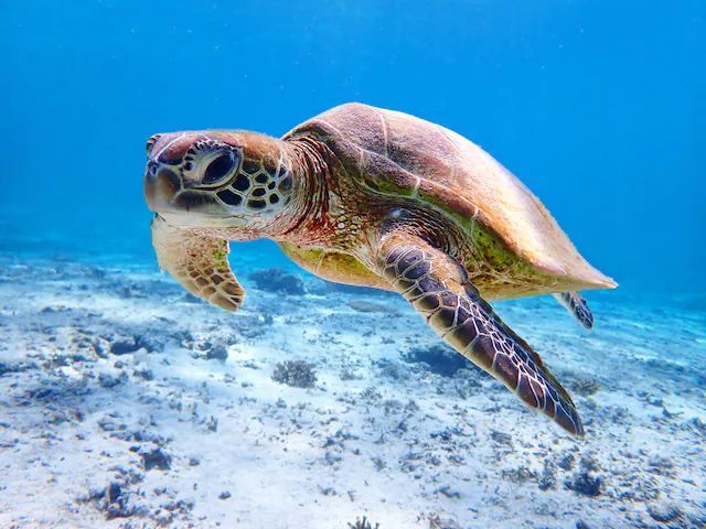 沖縄本島のお仕事です