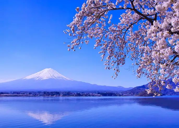 富士山の見える施設！