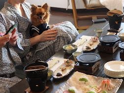 館内にいるワンちゃんに癒されること間違いなし！