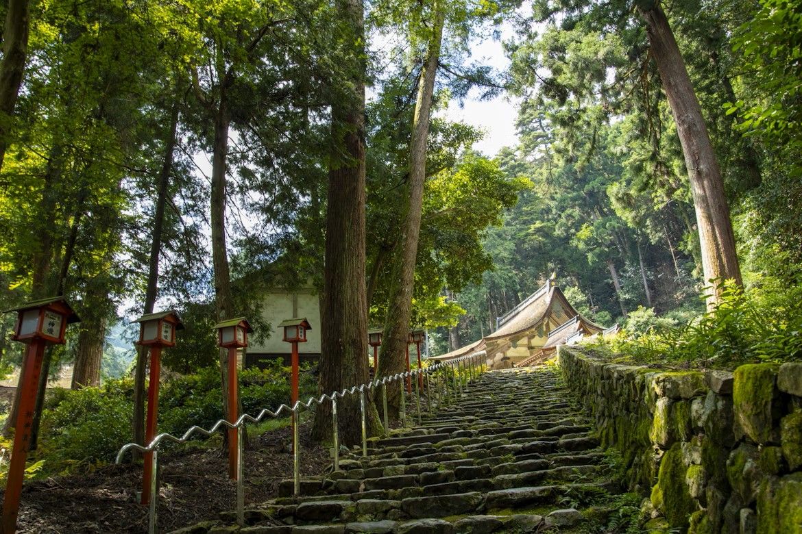 滋賀県での住み込み！