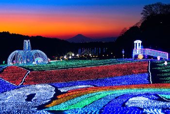 【東京ドイツ村】色とりどりのフラワーガーデン、わんぱく広場にドイツを思わせる数々の建物、書ききれないほど見所満載の東京ドイツ村！