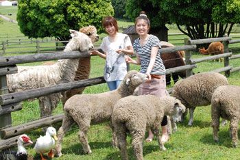 【マザー牧場】四季折々に花が咲き、動物たちとふれあうことができるエンターテイメント・ファームです。